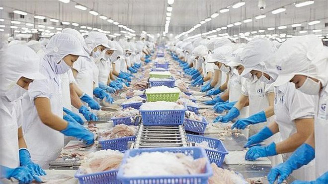Mặt hàng thuỷ sản được kỳ vọng tăng xuất khẩu nhờ CPTPP