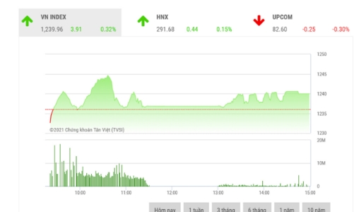 Thị trường vẫn có khả năng tiến lên sau nhịp rung lắc