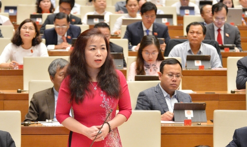 Đề nghị Chính phủ quan tâm hơn việc huy động vốn ngoài ngân sách cho phát triển 