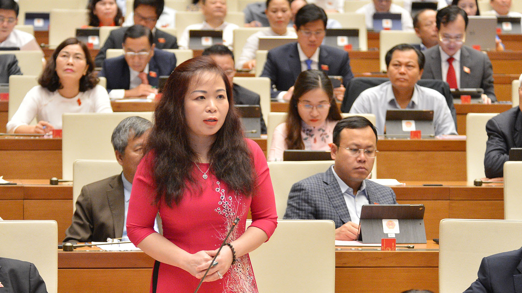 Đại biểu Vũ Thị Lưu Mai (Hà Nội) phát biểu tại phiên thảo luận ngày 29/3 - Ảnh: Quochoi.v