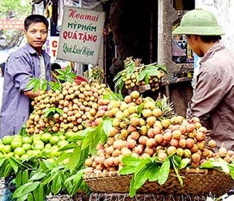 Theo thống kê của Sở Thương mại, tính đến tháng 1/2008, Hà Nội có hơn 10.000 gánh hàng rong.