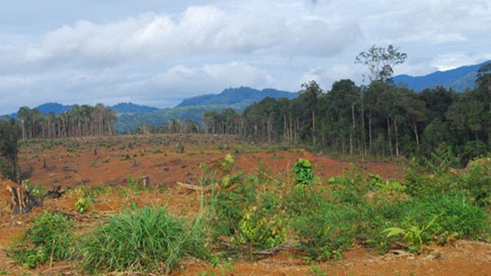 Thành phố Hà Nội khẩn trương hoàn thiện phương án tổng thể về sắp xếp, đổi mới và phát triển các công ty nông, lâm nghiệp trình Thủ tướng Chính phủ phê duyệt theo quy định. 