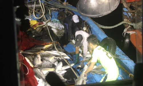 Thứ trưởng Nông nghiệp: Biển 4 tỉnh miền Trung đã sạch