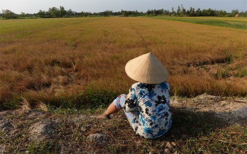 Những tháng đầu năm nay, đồng bằng sông Cửu Long trải qua tình trạng hạn hán và xâm mặn nặng nề nhất trong 100 năm qua - Ảnh: Tuổi Trẻ.<br>