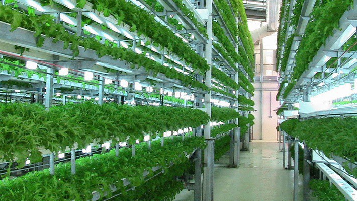 Doanh nghiệp công nghệ cao phải là doanh nghiệp tạo ra sản phẩm nông nghiệp có chất lượng, năng suất, giá trị và hiệu quả cao, doanh thu từ sản phẩm nông nghiệp ứng dụng công nghệ cao của doanh nghiệp đạt ít nhất 60% trong tổng số doanh thu thuần hàng năm.