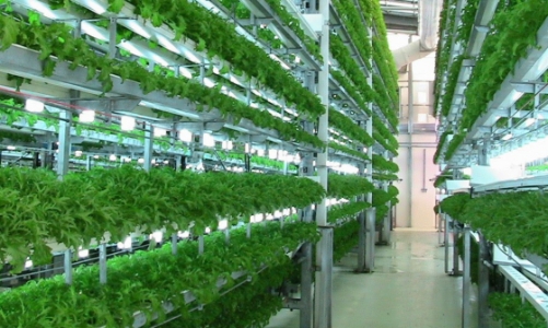 135.000 tỷ cho vay nông nghiệp công nghệ cao