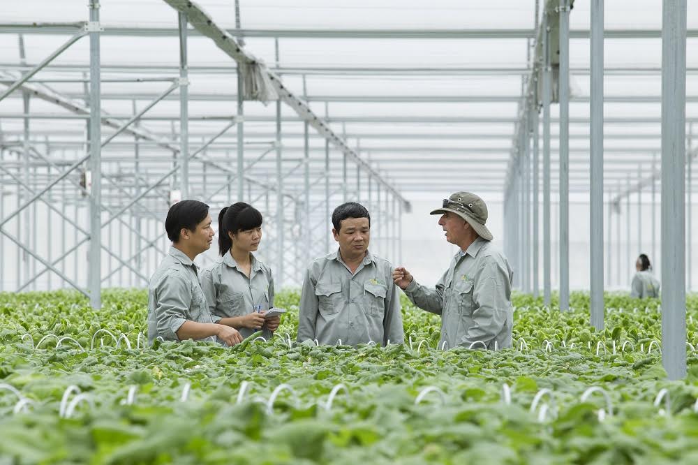Tùy thuộc vào việc thực hiện các cam kết theo tiêu chuẩn VietGap, cũng như chất lượng kiểm định về quy trình sản xuất, dư lượng thuốc bảo vệ thực vật trên sản phẩm thực tế.., VinEco sẽ cam kết bao tiêu sản phẩm cho các hộ sản xuất trên toàn thị trường.