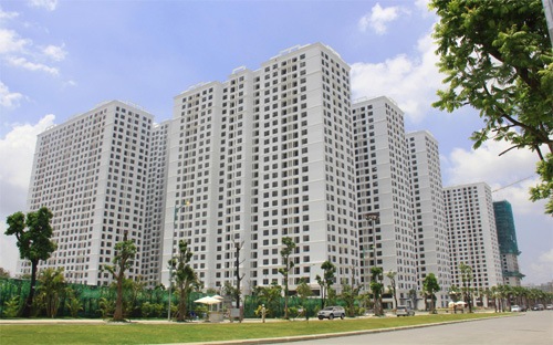 Thị trường đã có dấu hiệu bình ổn trở lại.<br>