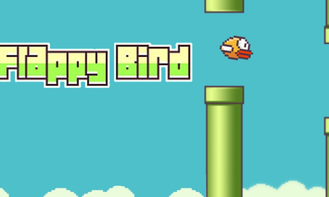 Nguyễn Hà Đông, tác giả trò chơi Flappy Bird, được ông Nguyễn Quang Tiến cho biết đã kê khai nộp thuế với số tiền hơn 1 tỷ đồng.