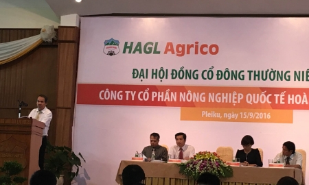 Đại diện tập đoàn cho biết, giá cổ phiếu HAG diễn biến không thuận lợi, nên việc phát hành thêm sẽ làm tăng nguồn cung và không mang lại lợi ích cho cổ đông, do đó đề nghị hoãn việc chia cổ tức - Ảnh: DT.