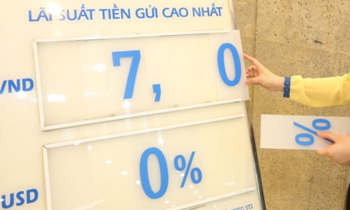 Chính phủ xem xét vay ngoại tệ trong nước