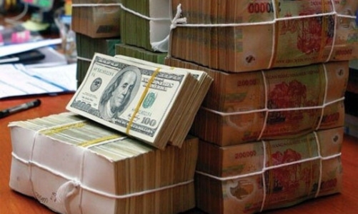 Ngân hàng Nhà nước trở lại mua vào ngoại tệ