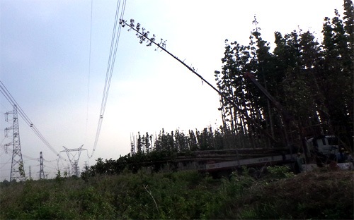 Sự cố mất điện trên diện rộng tại miền Nam vừa qua ảnh hưởng không nhỏ đến sản xuất, sinh hoạt của người dân.<br>