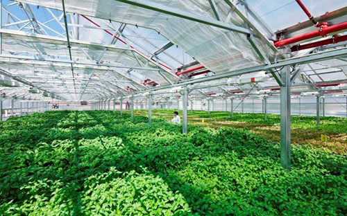 Chính phủ đã chỉ đạo các đầu mối hoàn thiện 
văn bản hướng dẫn việc cấp giấy chứng nhận quyền sở hữu tài sản trên
 đất nông nghiệp phục vụ cho việc sản xuất công nghệ cao để làm thủ tục đăng ký giao dịch bảo đảm, thế chấp cho khoản
 vay.