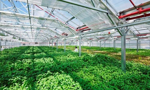 Sẽ hướng dẫn giải ngân gói 100.000 tỷ trong tháng này