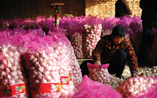 Mặc dù kinh doanh buôn bán với đối tác Trung Quốc gặp nhiều rủi ro, 
nhưng các doanh nghiệp nhìn nhận khó bỏ được hàng nhập khẩu từ Trung 
Quốc vì giá rẻ, mẫu mã đa dạng và lợi nhuận tốt.