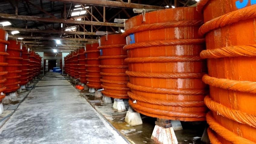 Một cơ sở sản xuất nước mắm theo quy cách truyền thống.<br>
