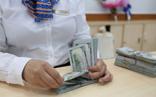 Theo lãnh đạo chuyên trách của Ngân hàng Nhà nước, mặc dù nền kinh tế 
nhập siêu trở lại khá cao, nhưng cung - cầu trên thị trường vẫn ổn định.
 Đây cũng là yếu tố quyết định đến diễn biến tỷ giá USD/VND hiện nay - Ảnh: Quang Phúc.