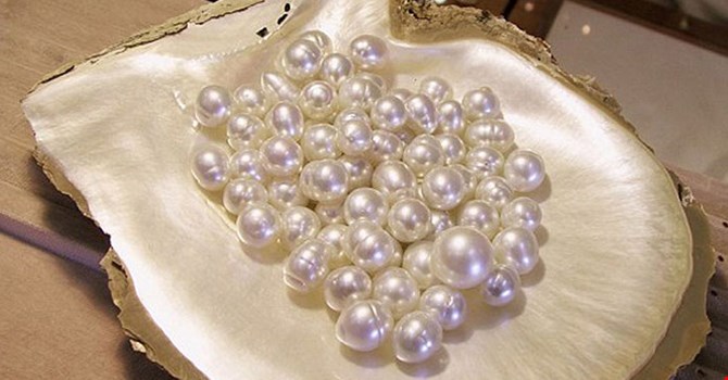 Sản phẩm ngọc trai của Phú Quốc.