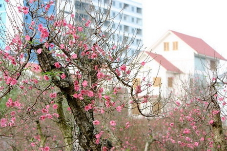 Trong số các nhóm tiêu chí, Việt Nam đạt thứ hạng cao nhất ở tiêu chí sự khác biệt và đặc trưng (vị trí 11), tiếp theo là mức độ cởi mở với kinh doanh (21), chất lượng cuộc sống (24), di sản (26), ảnh hưởng trên trường quốc tế (29), khả năng phát triển kinh doanh (36), mức độ hấp dẫn về du lịch (36), ảnh hưởng văn hóa (45)... - Ảnh: TT.