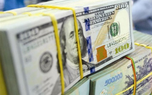 Sau khi thực hiện bán ra ngoại tệ bình ổn thị trường và tỷ giá USD/VND 
trong tháng 12/2016, hoạt động mua vào được nối lại khá nhanh.