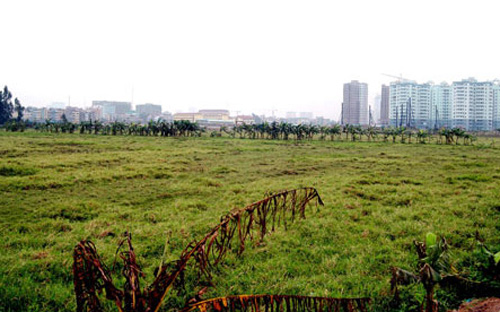 Nhiều khu đất thuộc quản lý của các doanh nghiệp nhà nước để hoang nhiều năm nay.<br>