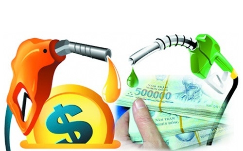 Thời điểm tổng điều tra kinh tế chu kỳ 5 năm, ngày 1/3 và 1/7, tiến hành vào các năm có số tận cùng là 1 và 6.<br>