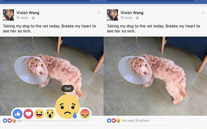 Nhóm nút “phản ứng” giúp người dùng bày tỏ 5 cảm xúc khác nhau, gồm 
“love” (“yêu thích”), “haha” (“cười vui”), “wow” (“ồ, ngạc nhiên”), 
“sad” (“buồn”) và “Angry” (“giận dữ”).