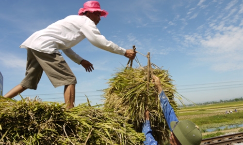 Tăng trưởng tín dụng 7 tháng: Tâm điểm “tam nông”