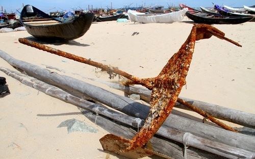 Phó thủ tướng Trương Hòa Bình yêu cầu các địa phương phải đẩy nhanh tiến độ kê khai, xác định và chi trả bồi thường thiệt hại.