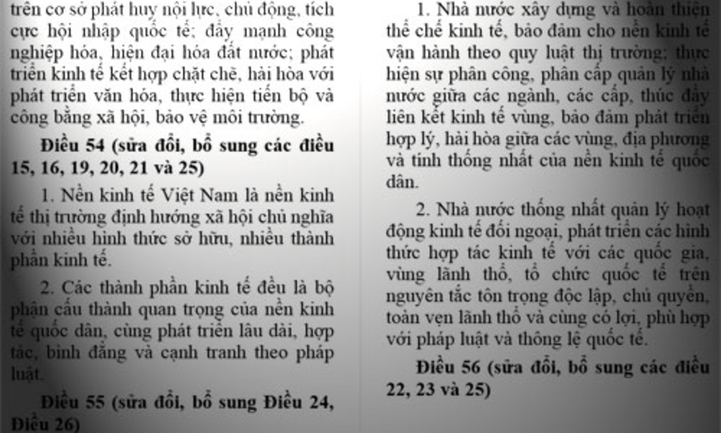 Theo dự thảo sửa đổi Hiến pháp năm 1992, các thành phần kinh tế đều là bộ phận cấu thành quan trọng của nền 
kinh tế quốc dân, cùng phát triển lâu dài, hợp tác, bình đẳng và cạnh 
tranh theo pháp luật. 