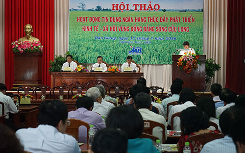 Tại hội thảo này, 7 tổ chức tín dụng tiếp tục cam kết tài trợ vốn cho 73
 dự án vùng đồng bằng sông Cửu Long với tổng số tiền cho vay gần 28.500 
tỷ đồng, trong đó 16 hợp đồng tín dụng tiêu biểu với gần 10.000 tỷ đồng 
đã được ký kết.