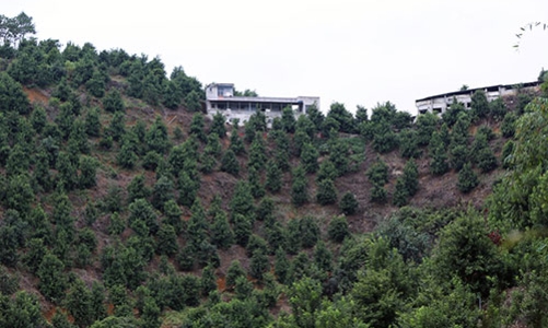 Trung Quốc cấp tập phát triển mắc-ca