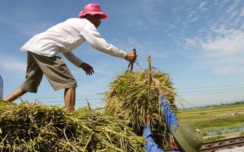 Hạn chế được Chính phủ chỉ ra là cơ sở hạ tầng kinh tế - xã hội ở nhiều vùng nông thôn còn yếu kém, nhất là các vùng miền núi, chưa đáp ứng yêu cầu xóa đói, giảm nghèo và phát triển theo hướng công nghiệp hóa - hiện đại hóa.
