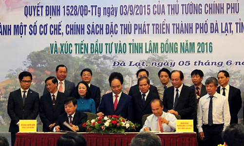 11.000 tỷ cam kết đầu tư vào mắc-ca Lâm Đồng