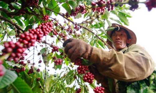 Ngân hàng đầu tiên muốn tham gia gói tín dụng 60.000 tỷ