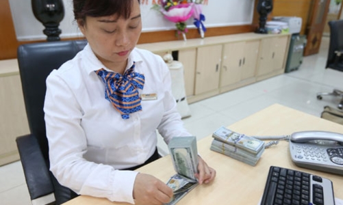 Tỷ giá USD/VND rơi sâu trên các thị trường