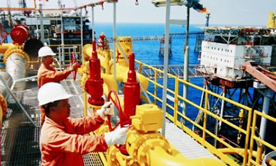 Việc có hiến định rõ vai trò các thành phần kinh tế hay không là vấn đề được tranh luận suốt quá trình xây dựng dự thảo sửa đổi Hiến pháp 1992.