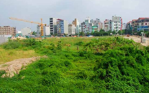 Việc một cơ quan quản lý nhà nước yêu cầu các cơ quan khác phải báo cáo 
tình hình quản lý nhà nước trong một lĩnh vực cụ thể là bình thường, tuy
 nhiên việc dự định công khai các báo cáo trên “để nhân dân biết, giám 
sát” là khá đặc biệt trong bối cảnh hiện nay.