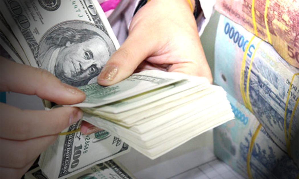 TS. Trịnh Quang Anh dự tính mục tiêu giữ ổn định tỷ giá USD/VND năm 2014 vẫn tiếp tục trong khoảng 2-3%. Và ông cũng nhìn nhận Ngân hàng Nhà nước chỉ còn “chút xíu” dư địa lãi suất tiền gửi USD để phòng thân, đặt trong yêu cầu bình ổn lãi suất VND và giữ chênh lệch hấp dẫn.