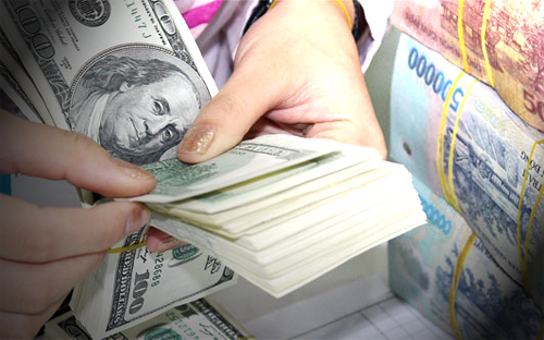 TS. Trịnh Quang Anh dự tính mục tiêu giữ ổn định tỷ giá USD/VND năm 2014 vẫn tiếp tục trong khoảng 
2-3%. Và ông cũng nhìn nhận Ngân hàng Nhà nước chỉ còn “chút xíu” dư địa
 lãi suất tiền gửi USD để phòng thân, đặt trong yêu cầu bình ổn lãi suất
 VND và giữ chênh lệch hấp dẫn.