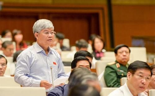 Đại biểu Nguyễn Anh Sơn tại phiên chất vấn sáng 16/11.<br>