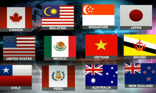 Trình Quốc hội phê chuẩn TPP vào kỳ họp đầu khoá 14