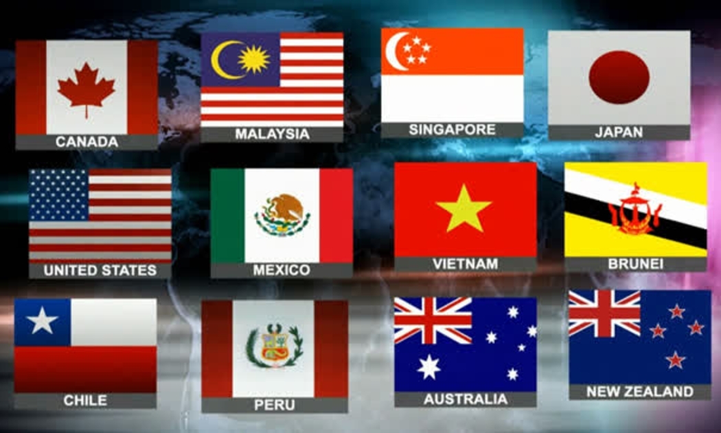 12 thành viên trong hiệp định TPP.<br>