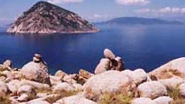 Yến sào Khánh Hòa: 25 năm phát triển bền vững