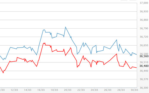 Diễn biến giá vàng SJC tại DOJI - Nguồn: DOJI.<br>