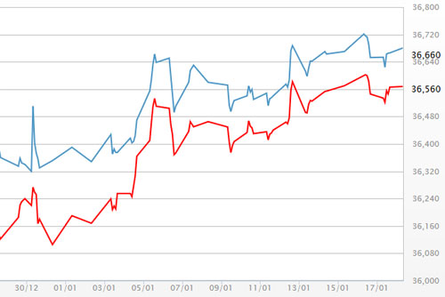 Diễn biến giá vàng SJC tại DOJI - Nguồn: DOJI.<br>