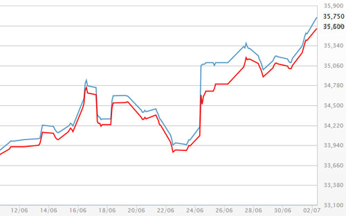 Diễn biến giá vàng SJC tại DOJI - Nguồn: DOJI.<br>