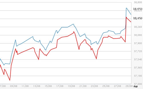 Diễn biến giá vàng SJC tại DOJI - Nguồn: DOJI.<br>