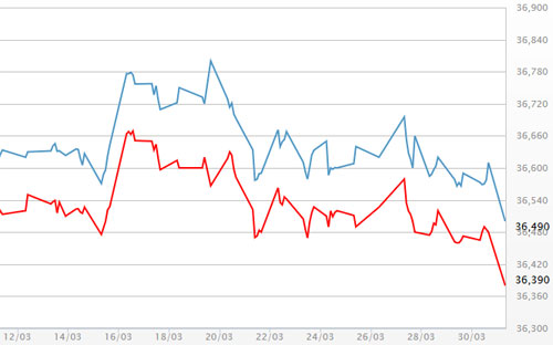 Diễn biến giá vàng SJC tại DOJI - Nguồn: DOJI.<br>